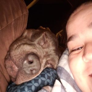 Meet your Posher, Beatriz